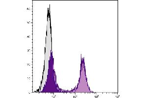 BALB/c mouse splenocytes were stained with Rat Anti-Mouse CD22-FITC. (CD22 antibody  (FITC))