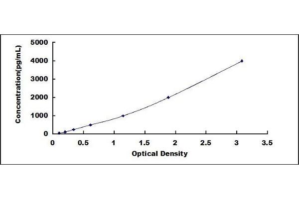 Cathepsin K ELISA Kit