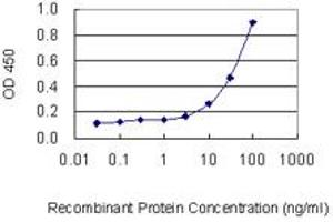 Detection limit for recombinant GST tagged PRPF31 is 1 ng/ml as a capture antibody.