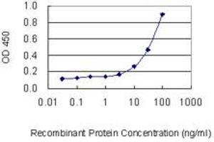 Detection limit for recombinant GST tagged PRPF31 is 1 ng/ml as a capture antibody. (PRPF31 antibody  (AA 400-499))
