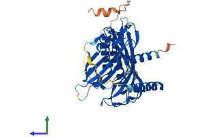AlphaFold protein structure predicition of Human Recombinant ACOT7 Protein, UniprotID O00154 (ACOT7 Protein (AA 1-380) (His tag))