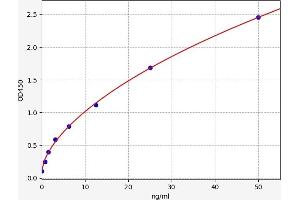 JAK1 ELISA Kit