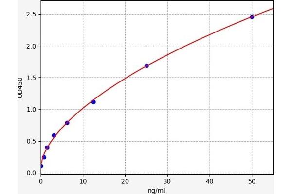 JAK1 ELISA Kit