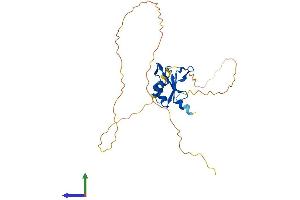 AlphaFold protein structure predicition of Human Recombinant RBM7 Protein, UniprotID Q9Y580 (RBM7 Protein (AA 1-266) (His tag))