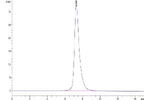 The purity of Human IL-22R alpha 1&IL-10R beta is greater than 95 % as determined by SEC-HPLC. (IL-22R alpha 1 & IL-10R beta (AA 16-228) protein (Fc-Avi Tag))