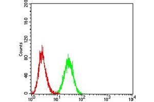 Flow cytometric analysis of Ramos cells using CD172A mouse mAb (green) and negative control (red). (SIRPA antibody  (AA 235-373))