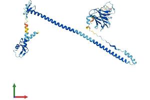 Protein Structure (PS) image for Tripartite Motif Containing 60 (TRIM60) (AA 1-471) protein (His tag) (ABIN7544681)