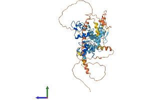 Protein Structure (PS) image for Zinc Finger Protein 165 (ZNF165) (AA 1-485) protein (His tag) (ABIN7545536)