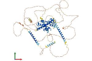 AlphaFold protein structure predicition of Mouse Recombinant Prox1 Protein, UniprotID P48437 (PROX1 Protein (AA 1-737) (His tag))