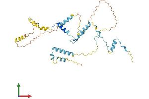 AlphaFold protein structure predicition of Mouse Recombinant Hyls1 Protein, UniprotID Q9CXX0