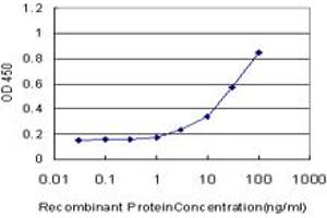 Detection limit for recombinant GST tagged NHLH2 is approximately 1ng/ml as a capture antibody. (NHLH2 antibody  (AA 36-135))