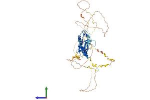 AlphaFold protein structure predicition of Human Recombinant LCP2 Protein, UniprotID Q13094 (LCP2 Protein (AA 1-533) (His tag))