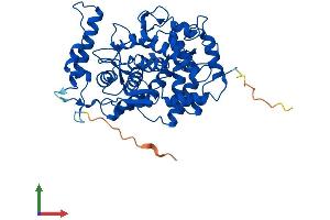 AlphaFold protein structure predicition of Human Recombinant FNTB Protein, UniprotID P49356 (FNTB Protein (AA 1-437) (His tag))