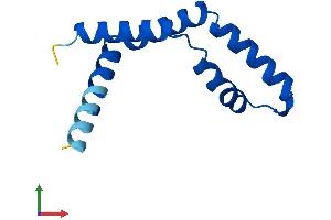 AlphaFold protein structure predicition of Mouse Recombinant Eny2 Protein, UniprotID Q9JIX0 (ENY2 Protein (AA 1-101) (His tag))