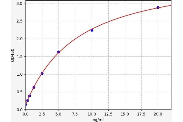 HYAL3 ELISA Kit