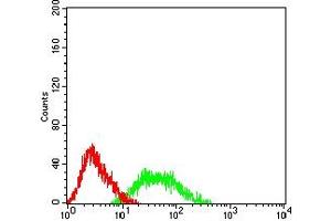 Flow cytometric analysis of HL-60 cells using CD192 mouse mAb (green) and negative control (red). (CCR2 antibody)