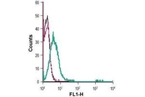 Cell surface detection of AT1 receptor in live intact human Jurkat T-cell leukemia cells: (black line) Cells.