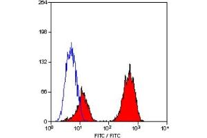 Staining of human peripheral blood lymphocytes with MOUSE ANTI HUMAN CD3 (CD3 antibody)