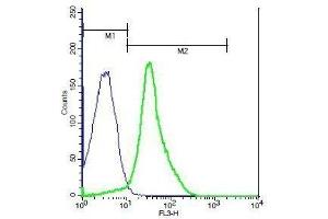 Mouse thymocytes probed with Rabbit Anti-CD151 Polyclonal Antibody, PE-Cy5 Conjugated . (CD151 antibody  (AA 101-200))