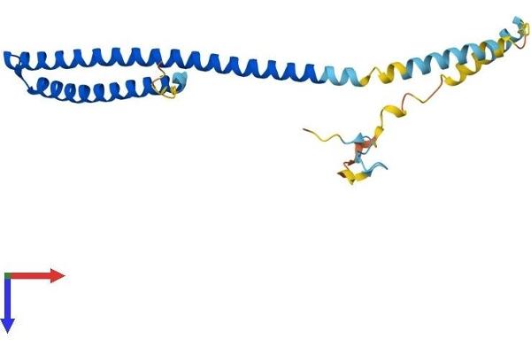 CHMP5 Protein (AA 1-219) (His tag)