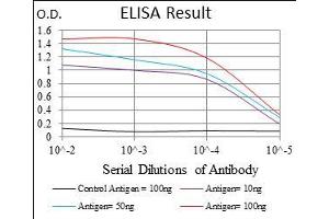 Black line: Control Antigen (100 ng), Purple line: Antigen(10 ng), Blue line: Antigen (50 ng), Red line: Antigen (100 ng), (MCAM antibody  (AA 84-189))