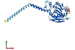 AlphaFold protein structure predicition of Human Recombinant ABHD13 Protein, UniprotID Q7L211 (ABHD13 Protein (AA 1-337) (His tag))