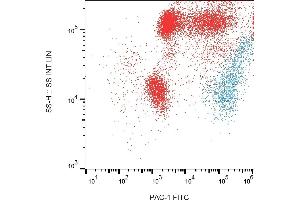 Flow cytometry surface staining pattern of PHA stimulated human peripheral whole blood showing CD41/CD61 positive platelets (blue) stained using anti-human CD41/CD61 (PAC-1) FITC antibody. (CD41, CD61 antibody  (FITC))