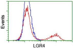 HEK293T cells transfected with either RC221345 overexpress plasmid (Red) or empty vector control plasmid (Blue) were immunostained by anti-LGR4 antibody (ABIN2454807), and then analyzed by flow cytometry.