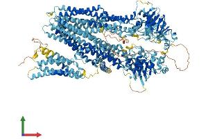 Protein Structure (PS) image for ATP-Binding Cassette, Sub-Family C (CFTR/MRP), Member 6 (ABCC6) (AA 1-1503) protein (His tag) (ABIN7554594)