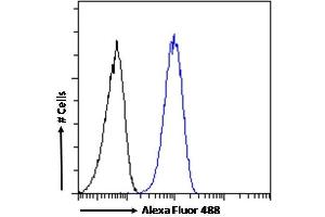 (ABIN570758) Flow cytometric analysis of paraformaldehyde fixed HeLa cells (blue line), permeabilized with 0.