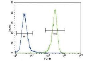 Flow Cytometry (FACS) image for anti-Discoidin Domain Receptor tyrosine Kinase 1 (DDR1) (AA 299-330) antibody (ABIN3030734)