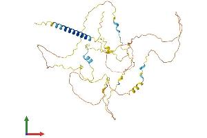 AlphaFold protein structure predicition of Mouse Recombinant Pag1 Protein, UniprotID Q3U1F9 (PAG1 Protein (AA 1-429) (His tag))