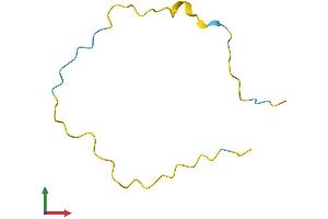 Protein Structure (PS) image for Chromosome 5 Open Reading Frame 13 (C5orf13) (AA 1-68) protein (Fc Tag) (ABIN7556913)