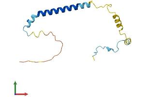 Protein Structure (PS) image for Poly Binding Protein Interacting Protein 2 (PAIP2) (AA 1-127) protein (His tag) (ABIN7550629)