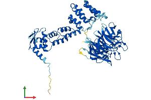 AlphaFold protein structure predicition of Human Recombinant KLHL12 Protein, UniprotID Q53G59