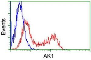 Flow Cytometry (FACS) image for anti-Adenylate Kinase 1 (AK1) antibody (ABIN1496515) (Adenylate Kinase 1 antibody)
