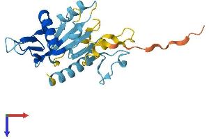 AlphaFold protein structure predicition of Human Recombinant ALG1L2 Protein, UniprotID C9J202 (ALG1L2 Protein (AA 1-215) (His tag))