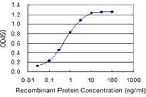 Detection limit for recombinant GST tagged SLC5A2 is 0. (SLC5A2 antibody  (AA 228-277))