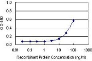 C21orf2 antibody  (AA 1-101)