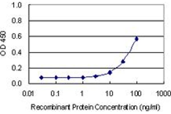 C21orf2 antibody  (AA 1-101)