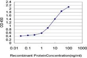 Detection limit for recombinant GST tagged XPC is approximately 0. (XPC antibody  (AA 141-250))