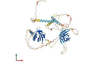 AlphaFold protein structure predicition of Mouse Recombinant Bmal2 Protein, UniprotID Q2VPD4 (ARNTL2 Protein (AA 1-579) (His tag))