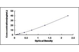 Typical standard curve (SDC3 ELISA Kit)