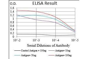 Black line: Control Antigen (100 ng), Purple line: Antigen(10 ng), Blue line: Antigen (50 ng), Red line: Antigen (100 ng), (MME antibody  (AA 52-246))