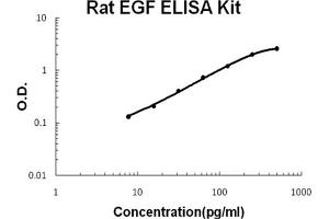 Rat EGF Accusignal ELISA Kit Rat EGF AccuSignal ELISA Kit standard curve. (EGF ELISA Kit)