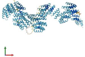 AlphaFold protein structure predicition of Human Recombinant TTC21B Protein, UniprotID Q7Z4L5
