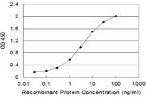 Detection limit for recombinant GST tagged GLRA1 is approximately 0. (GLRA1 antibody  (AA 121-220))