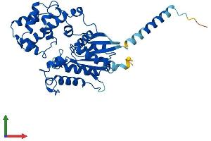 AlphaFold protein structure predicition of Mouse Recombinant Gna14 Protein, UniprotID P30677 (GNa14 Protein (AA 1-355) (His tag))