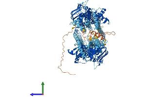 Protein Structure (PS) image for ATP-Binding Cassette, Sub-Family B (MDR/TAP), Member 4 (ABCB4) (AA 1-1276) protein (His tag) (ABIN7562957)