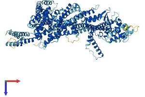 AlphaFold protein structure predicition of Human Recombinant WASHC5 Protein, UniprotID Q12768